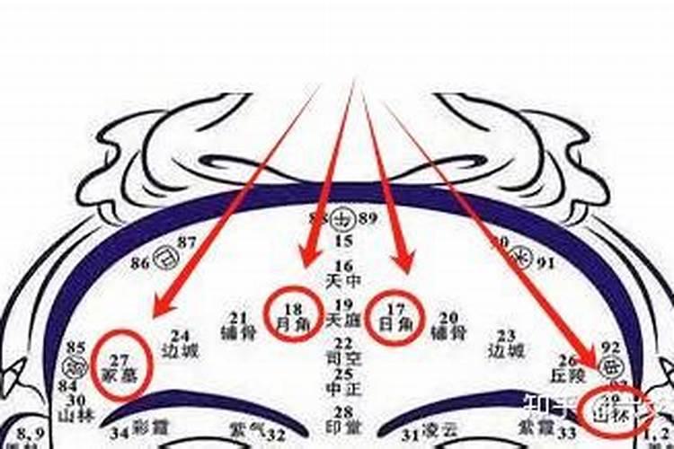 望气法、望气之术