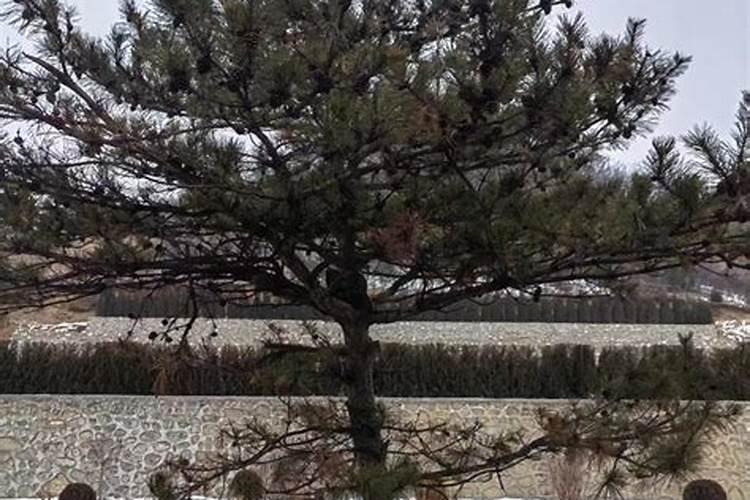房号214跟风水有关系吗？