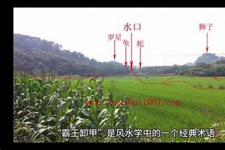 那位 给我 讲一下 “风水”方面的知识!