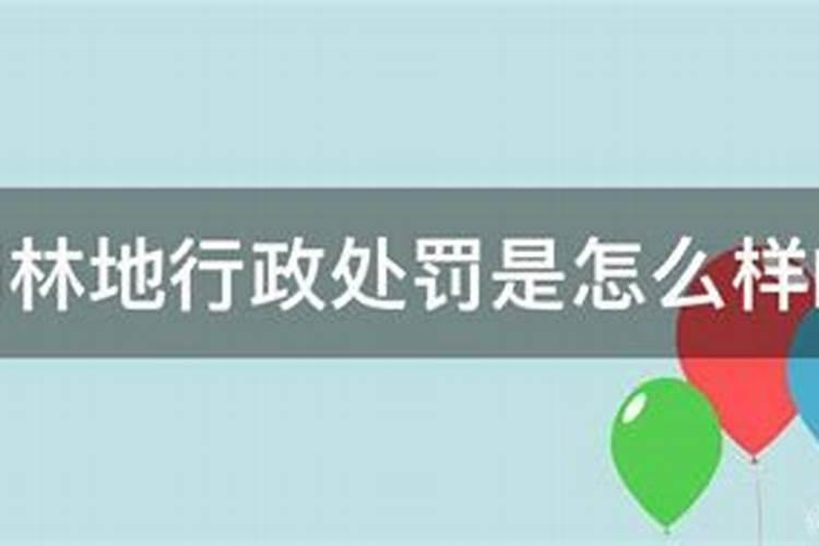 公墓投诉哪个部门