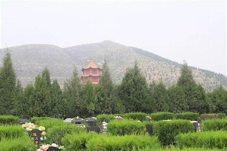 城市的花圃一般用什么做