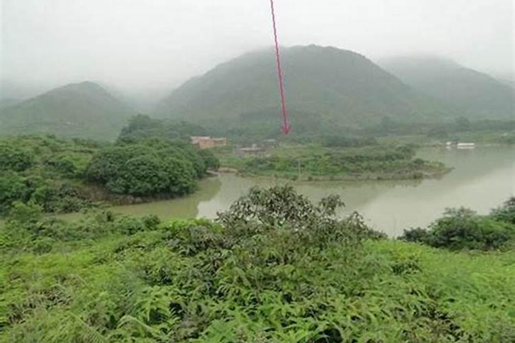 中国易经大师排名
