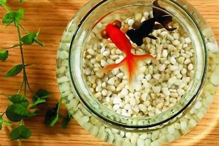 从风水角度,怎样摆床最好？