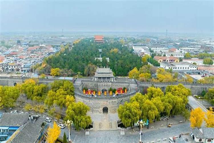 风水墓地种什么花最好最旺