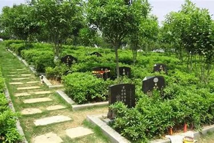 看墓地风水 墓地哪个朝向最好