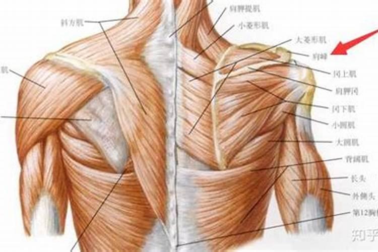 风水问题:一楼小院西北窗口正对有污水井,小院门口有下水口怎么办？