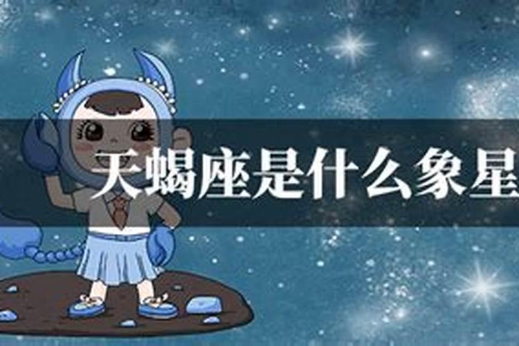B型血的天蝎座的职业方向是什么样的？