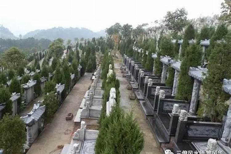 庭院4大方位风水布局？