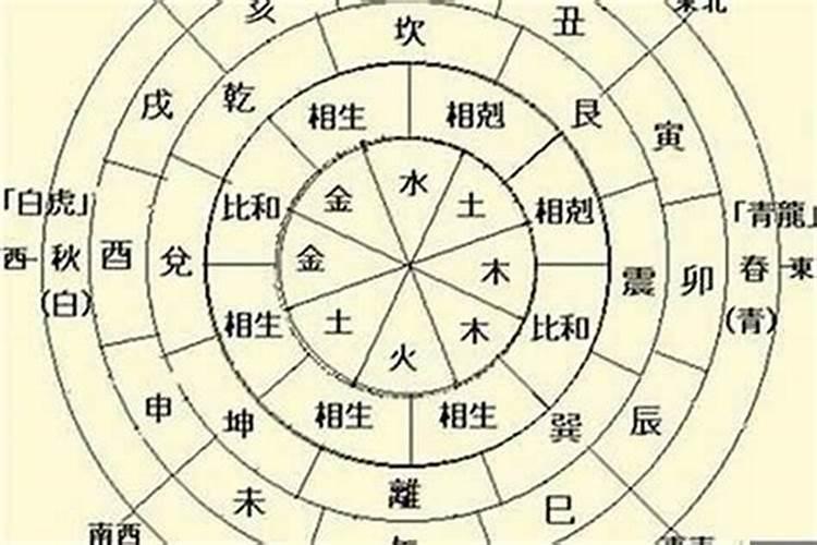 干支墓是什么意思？