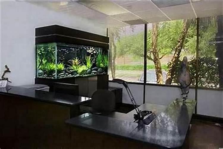 办公室养鱼的风水有什么讲究,有哪些注意事项？