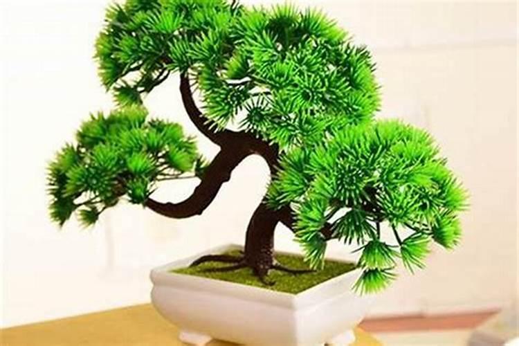 自建房入户做斜坡还是台阶