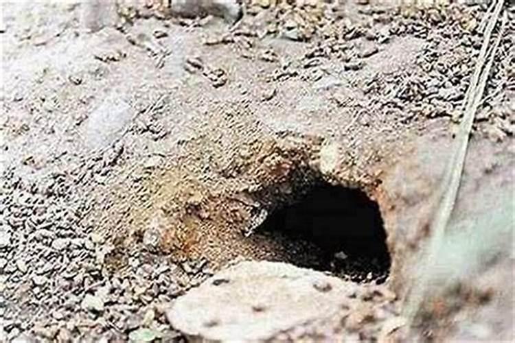 坟地上有个洞怎样化解