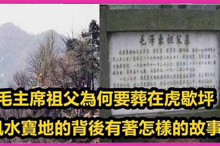 阳新的娱乐一条街在哪里