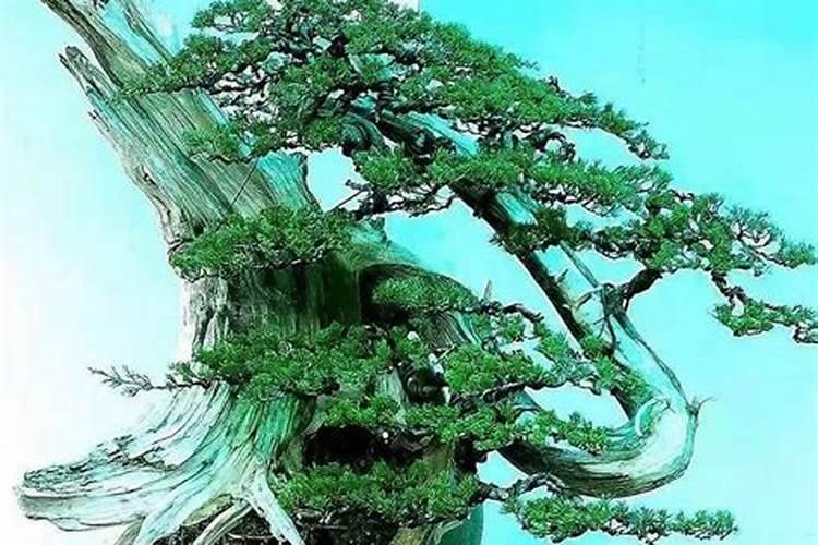 刘若谷人物简介
