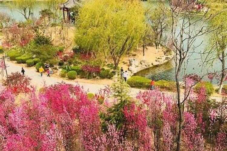 阴沉木做什么家具好