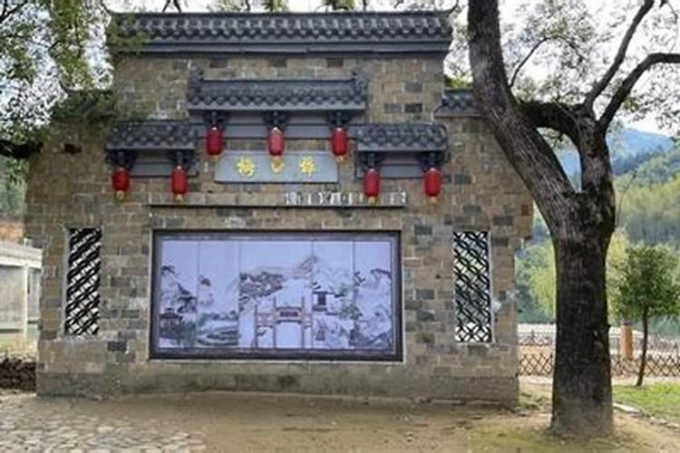电视剧回家剧情介绍