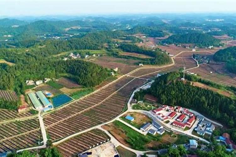 上海永福园陵的墓地风水怎么样啊？