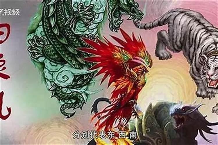 ”玄武”一词出自何处