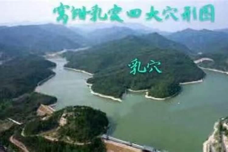 罗汉竹的摆放禁忌罗汉松的摆放位置