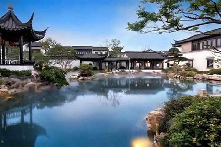 棕树在风水中的意义