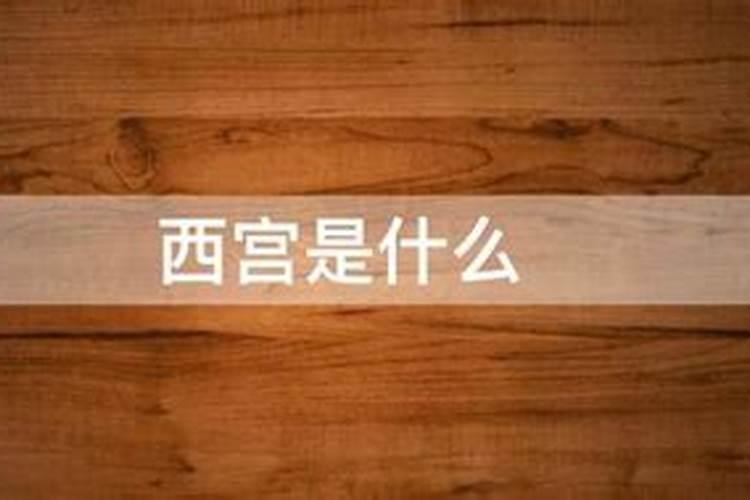 前朱雀后玄武