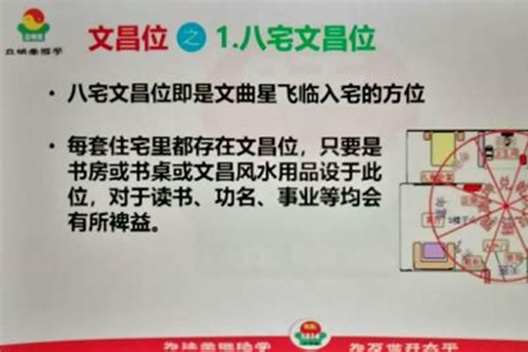 竹子可以放在办公桌上吗？