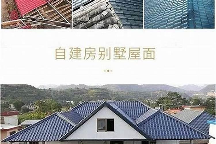 镇宅乌龟用什么样的乌龟好？