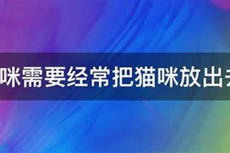 养猫会破坏风水吗？