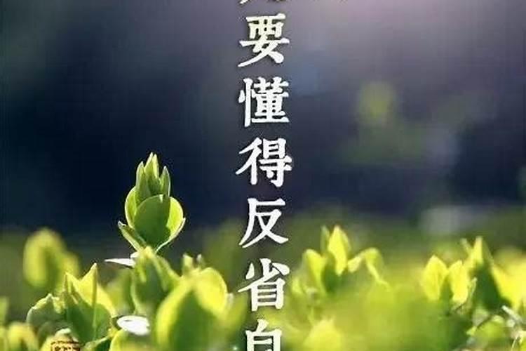 风水师傅哪个比较厉害？风水哪位看的好？麻烦大家推荐一个看风水好的师 ...