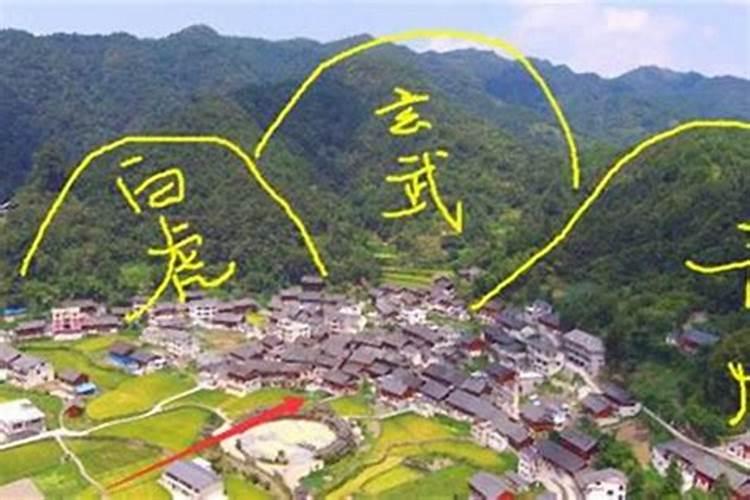 家里院子种什么盆景最旺宅