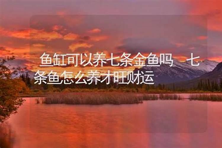 杨公忌日杨公是谁