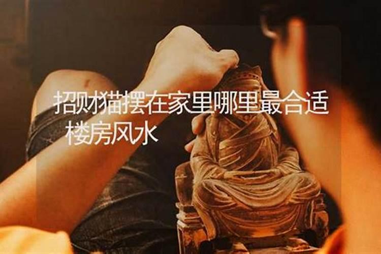 家里养猫对财运好不好 能镇宅辟邪吗