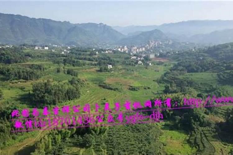 有哪些名人安葬在洛阳凤凰山生态纪念园？