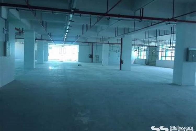 风水大师江仰强的资料介绍