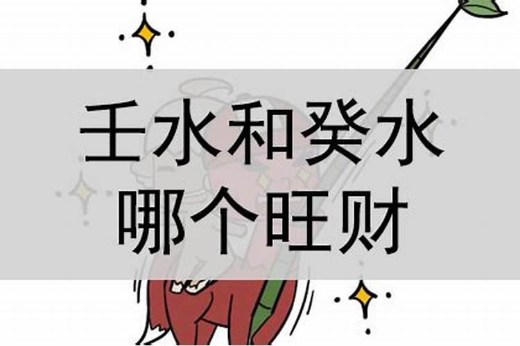 白水旺财是什么意思？