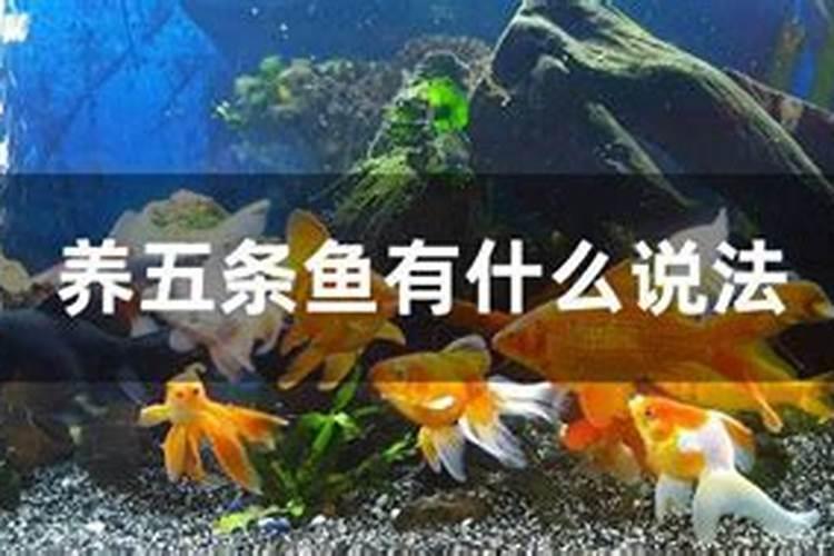 飘窗常见的5个创意与飘窗风水禁忌