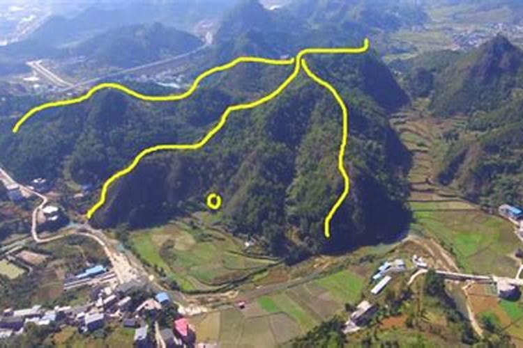 贵州茶叶产地在哪里,贵州哪个地方产茶叶？