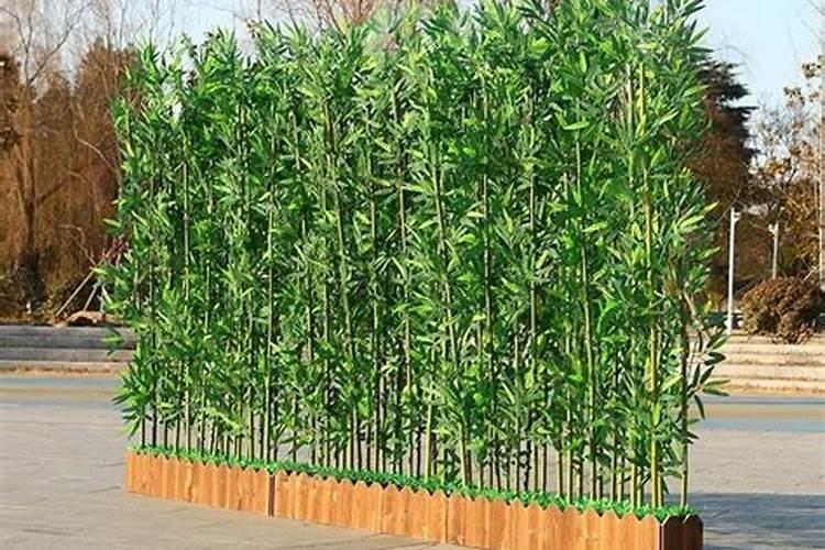 家中用假竹子当屏风好不好