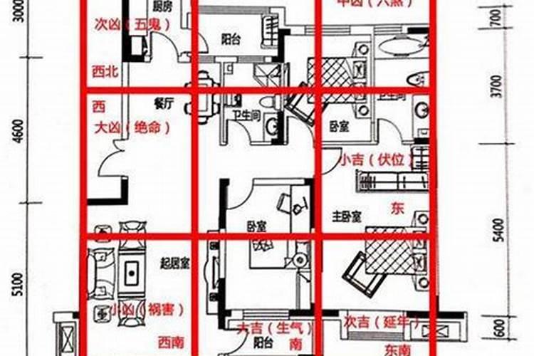 坟头旁边种银杏树好吗？