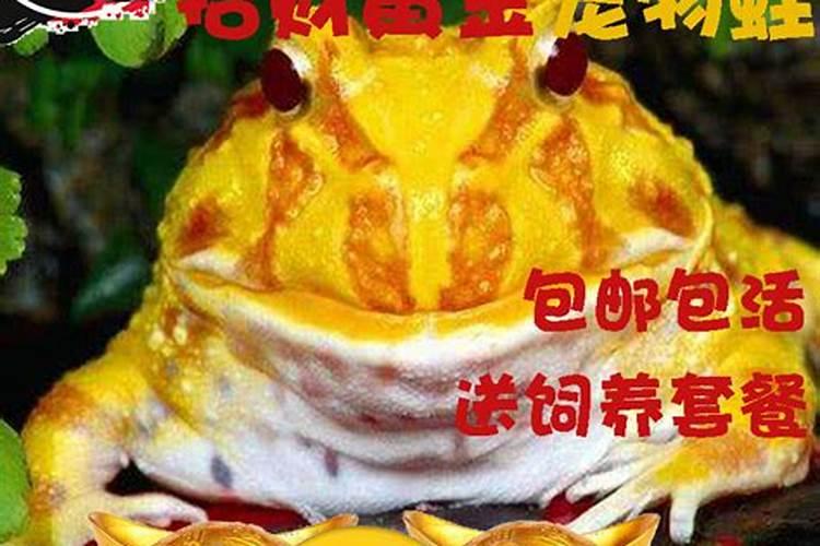 车库上一楼房子怎么样