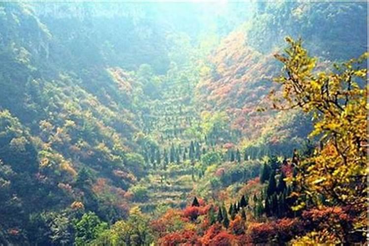 长春风水大师杨丰波有人知道吗？