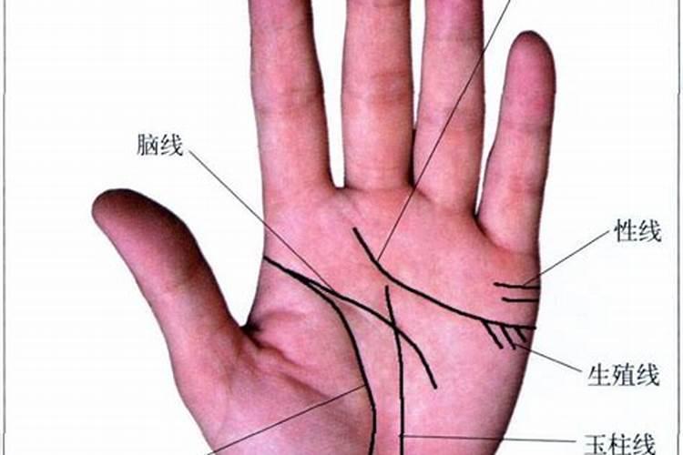 最近租了个门面栋梁压顶怎么解决？店内有道横梁,阁楼上两个小房间里面...