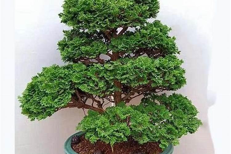 古今文经学的异与同