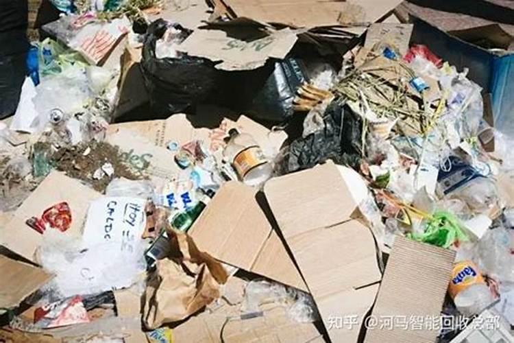 六亩地种玉米 养牛