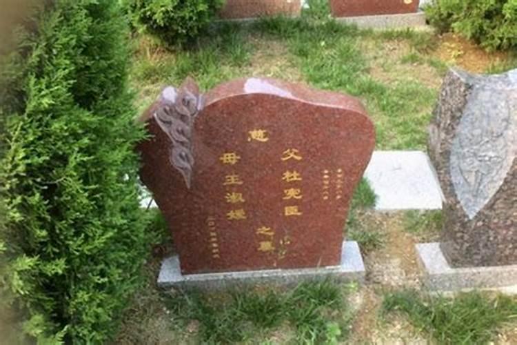阴宅栽什么树旺财阴宅栽哪纛树旺财