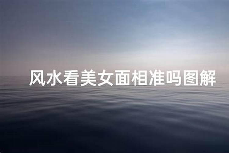 阴宅栽什么树旺财阴宅栽哪纛树旺财
