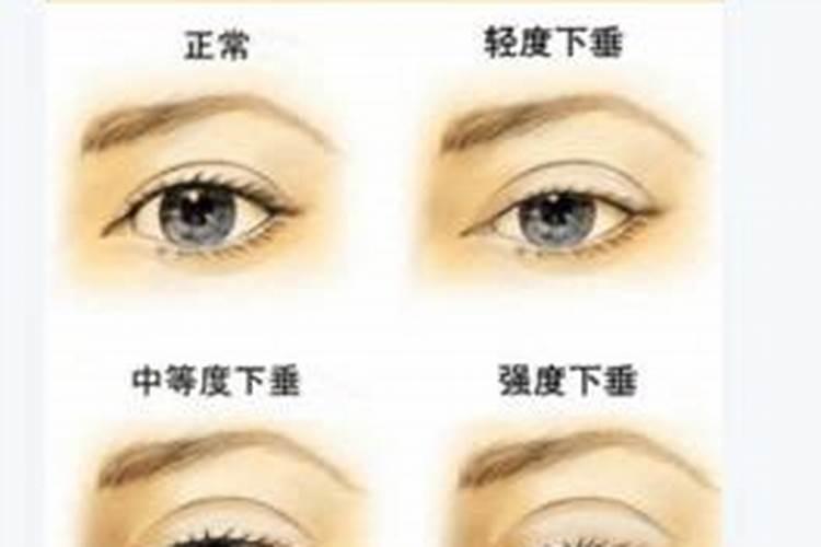 中国十大风水师排名