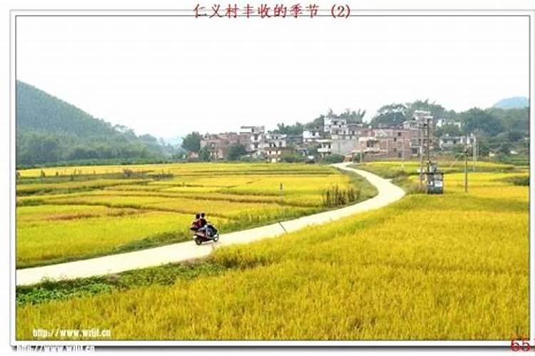 香港风水大师排名