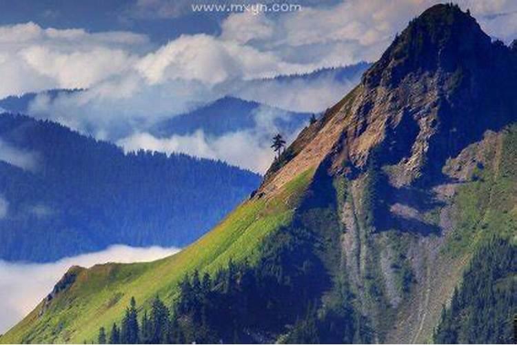 梦见高山在眼前