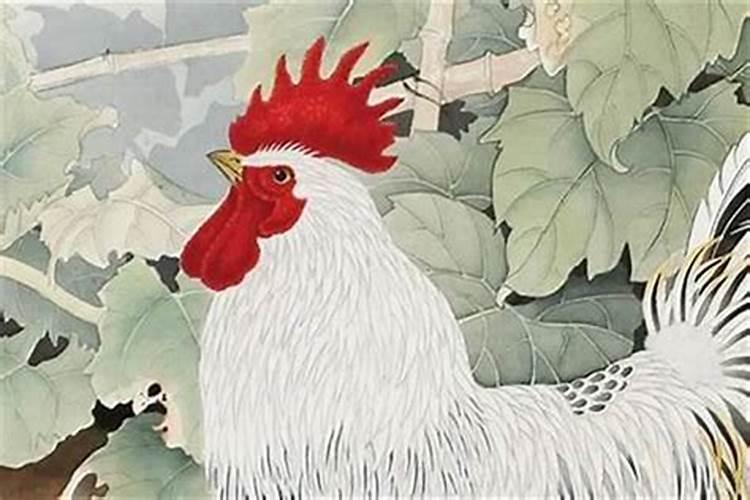 大话西游手游如何最省钱提升风水
